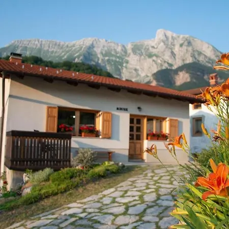 Apartma Burk Apartment