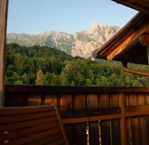 Apartma Burk Apartment *